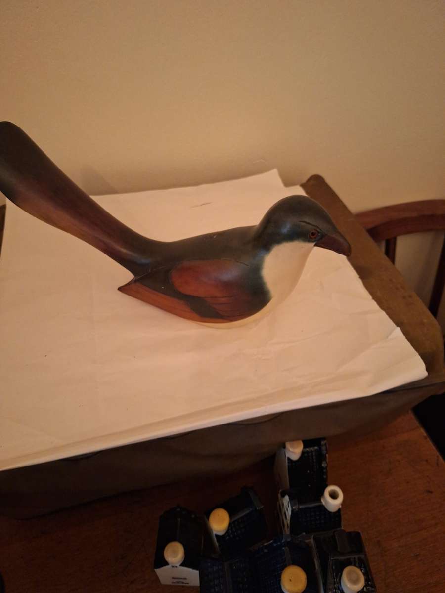 FEATHERS OF KNYSNA BURCHELL`S COUCAL 357 VLEILOERIE